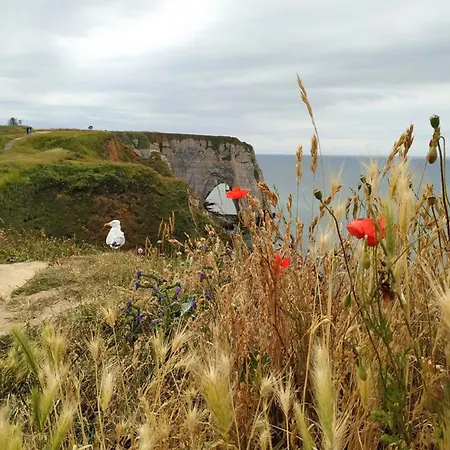 Seinebnb - Havre De Paix A La Campagne - Honfleur *